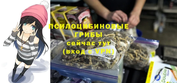 а пвп мука Арсеньев