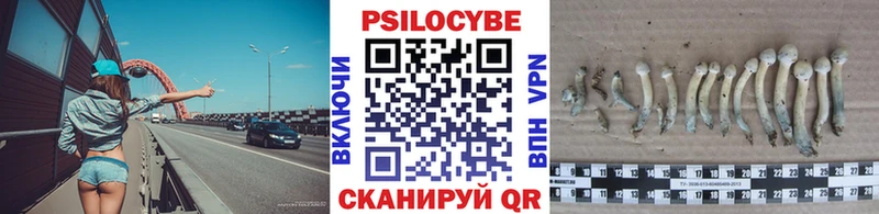 Галлюциногенные грибы Psilocybine cubensis  где продают   Томмот 